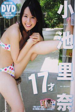 城市猎人中文版全集
